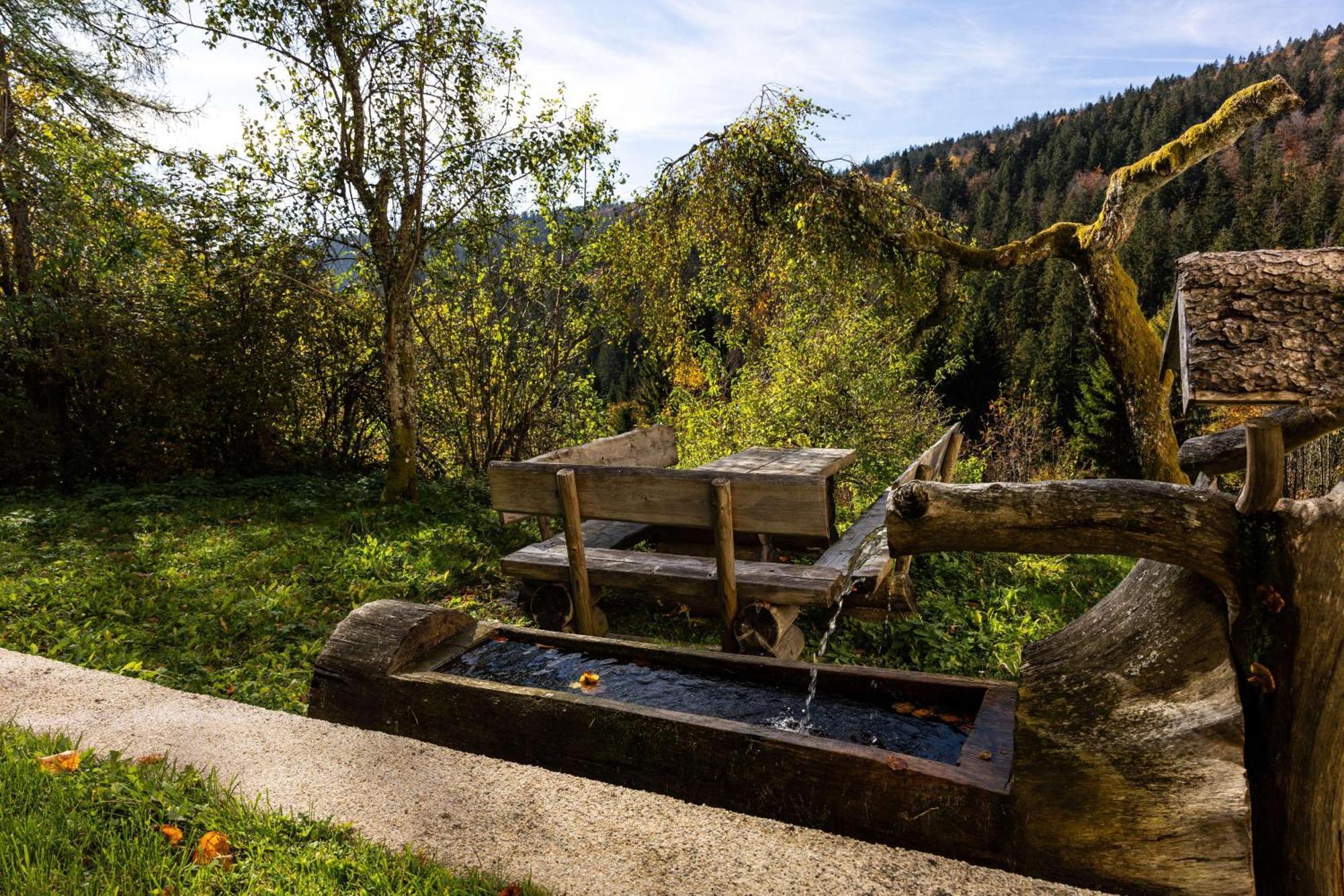 Forsthaus Apartments - Ski + Bike & Hike Klaffer am Hochficht Exterior foto